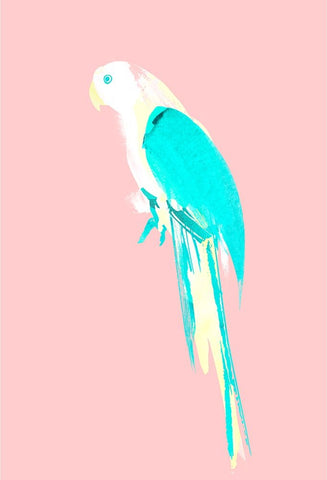 Summer Parrot White Modern Wood Framed Art Print with Double Matting by Farkas, Robert