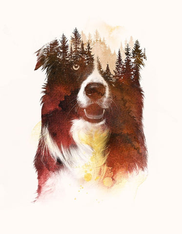 One Night In The Forest White Modern Wood Framed Art Print with Double Matting by Farkas, Robert
