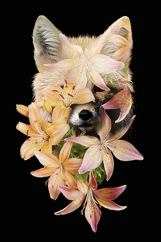 Foxy Flowers White Modern Wood Framed Art Print with Double Matting by Farkas, Robert