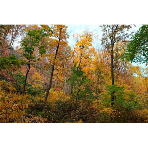 Inwood Manhattan Autumn Gold Ornate Wood Framed Art Print with Double Matting by Goldwitz, Robert