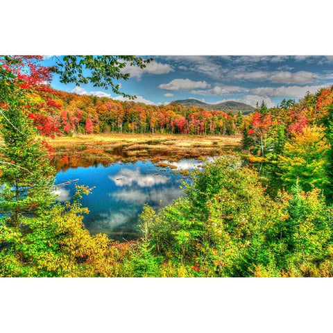 Adirondack Pond Gold Ornate Wood Framed Art Print with Double Matting by Goldwitz, Robert