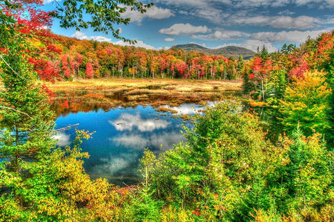 Adirondack Pond White Modern Wood Framed Art Print with Double Matting by Goldwitz, Robert