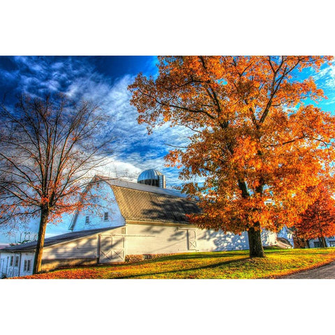 Autumn Barns Black Modern Wood Framed Art Print with Double Matting by Goldwitz, Robert