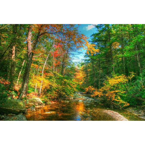 Autumn Brook White Modern Wood Framed Art Print by Goldwitz, Robert
