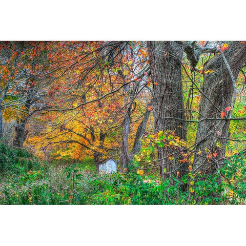Autumn Shed White Modern Wood Framed Art Print by Goldwitz, Robert