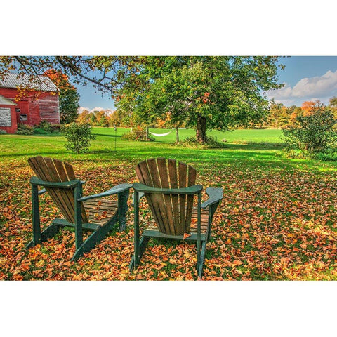 Barnyard Chairs Gold Ornate Wood Framed Art Print with Double Matting by Goldwitz, Robert