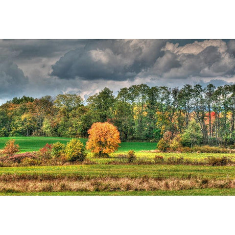 Drak Sky Shiningtree White Modern Wood Framed Art Print by Goldwitz, Robert