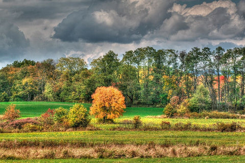 Drak Sky Shiningtree White Modern Wood Framed Art Print with Double Matting by Goldwitz, Robert