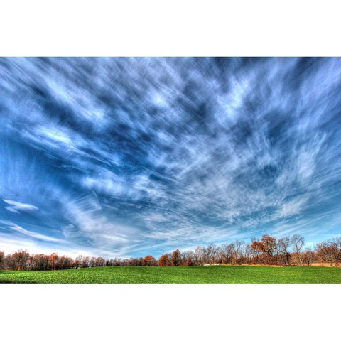 Field And Sky Autumn Gold Ornate Wood Framed Art Print with Double Matting by Goldwitz, Robert