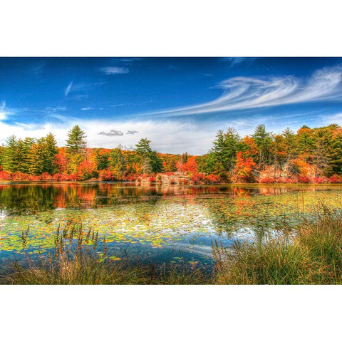 Harriman Pond Black Modern Wood Framed Art Print by Goldwitz, Robert