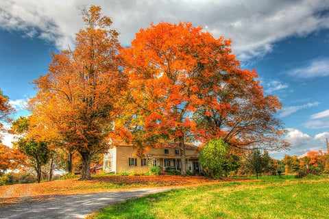 Home Sweet Home White Modern Wood Framed Art Print with Double Matting by Goldwitz, Robert