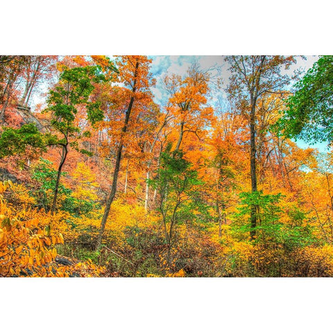 Inwood Park Horizontal Black Modern Wood Framed Art Print with Double Matting by Goldwitz, Robert