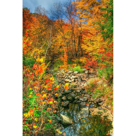Low Water Brook Autumn Black Modern Wood Framed Art Print with Double Matting by Goldwitz, Robert