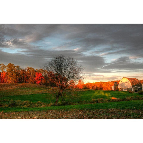 The Neighbors Barn Sunset Gold Ornate Wood Framed Art Print with Double Matting by Goldwitz, Robert