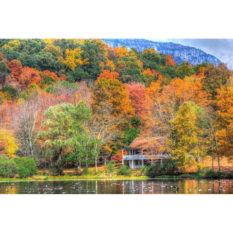 Tillson Lake Gold Ornate Wood Framed Art Print with Double Matting by Goldwitz, Robert