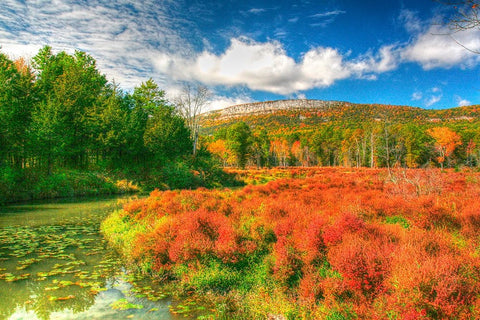 Whitecliffs Black Ornate Wood Framed Art Print with Double Matting by Goldwitz, Robert