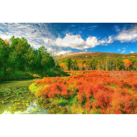 Whitecliffs Black Modern Wood Framed Art Print by Goldwitz, Robert