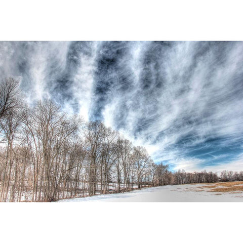Winter Treeline Black Modern Wood Framed Art Print by Goldwitz, Robert