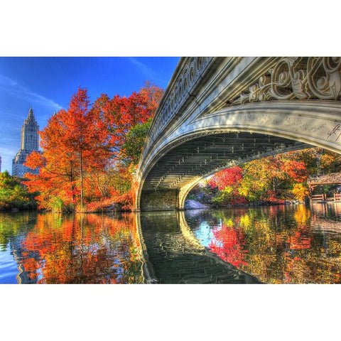 Bow Bridge Black Modern Wood Framed Art Print by Goldwitz, Robert