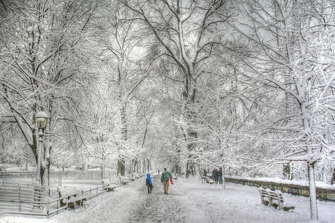Riverside Park snow walk Black Ornate Wood Framed Art Print with Double Matting by Goldwitz, Robert