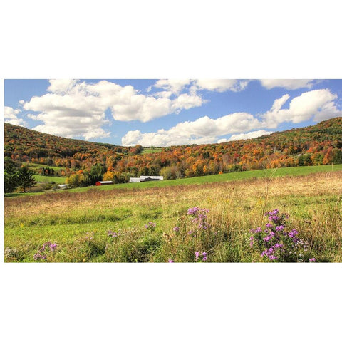 Nestled Barns in Fall Gold Ornate Wood Framed Art Print with Double Matting by Goldwitz, Robert