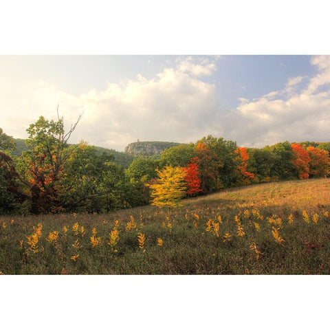 Mohonk Autumn White Modern Wood Framed Art Print by Goldwitz, Robert
