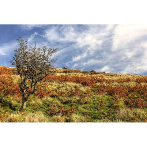 Wales Hillside and Sky White Modern Wood Framed Art Print by Goldwitz, Robert