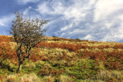 Wales Hillside and Sky White Modern Wood Framed Art Print with Double Matting by Goldwitz, Robert