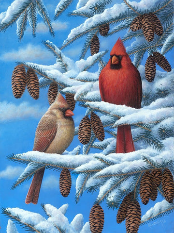 Cardinals White Modern Wood Framed Art Print with Double Matting by Wavra, Robert