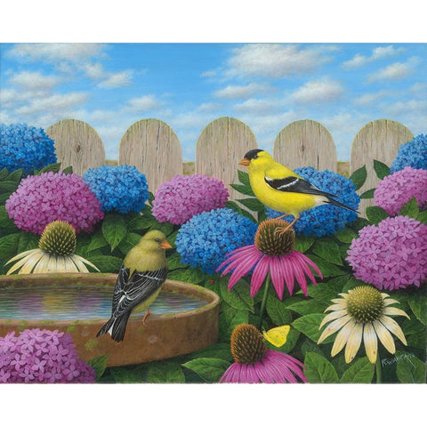 Goldfinches Black Modern Wood Framed Art Print with Double Matting by Wavra, Robert