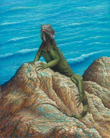 Iguana White Modern Wood Framed Art Print with Double Matting by Wavra, Robert