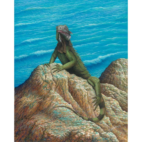 Iguana Black Modern Wood Framed Art Print with Double Matting by Wavra, Robert