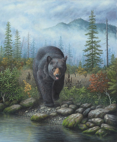 Smoky Mountain Black Bear White Modern Wood Framed Art Print with Double Matting by Wavra, Robert