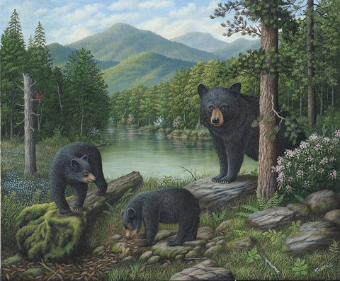 Watching The Cubs Play White Modern Wood Framed Art Print with Double Matting by Wavra, Robert