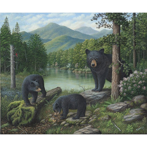 Watching The Cubs Play Black Modern Wood Framed Art Print by Wavra, Robert