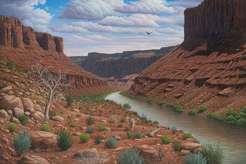 Along The Colorado White Modern Wood Framed Art Print with Double Matting by Wavra, Robert
