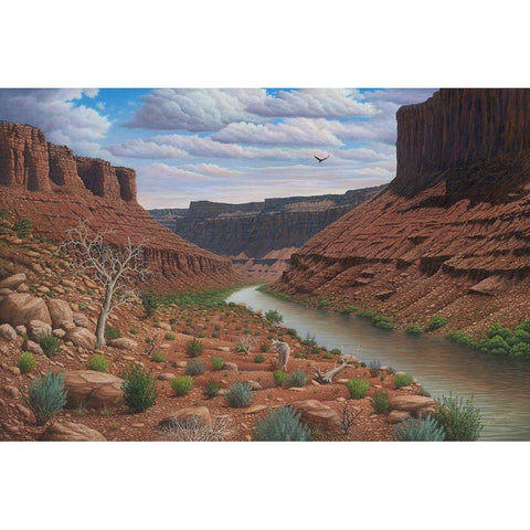 Along The Colorado Black Modern Wood Framed Art Print by Wavra, Robert