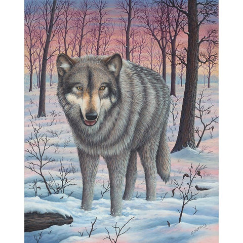 Lone Wolf Black Modern Wood Framed Art Print by Wavra, Robert