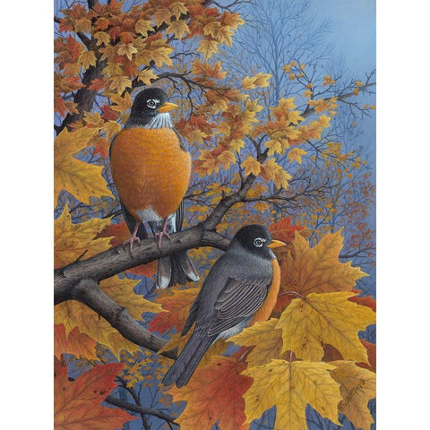 Robins Black Modern Wood Framed Art Print by Wavra, Robert
