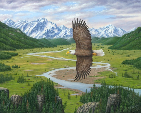 Soaring Above White Modern Wood Framed Art Print with Double Matting by Wavra, Robert