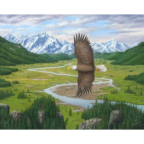 Soaring Above Black Modern Wood Framed Art Print by Wavra, Robert