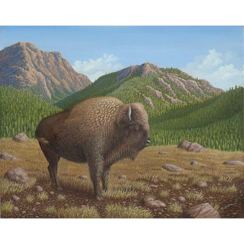 Bison Gold Ornate Wood Framed Art Print with Double Matting by Wavra, Robert
