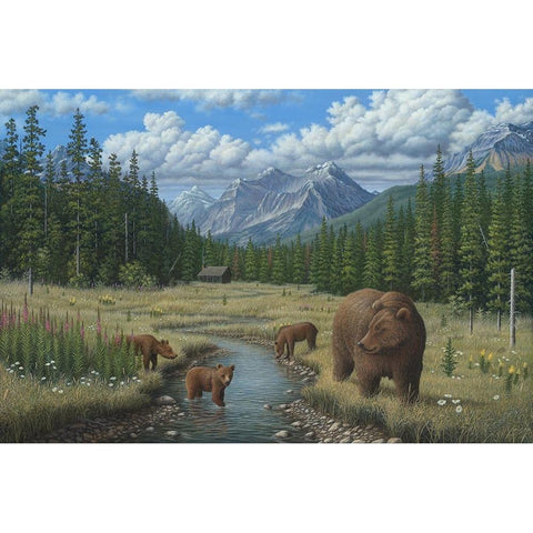 Checking Things  Out - Grizzlies White Modern Wood Framed Art Print by Wavra, Robert