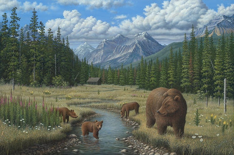 Checking Things  Out - Grizzlies White Modern Wood Framed Art Print with Double Matting by Wavra, Robert