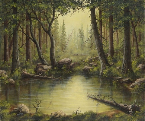 Evening at the Creek Black Ornate Wood Framed Art Print with Double Matting by Wavra, Robert