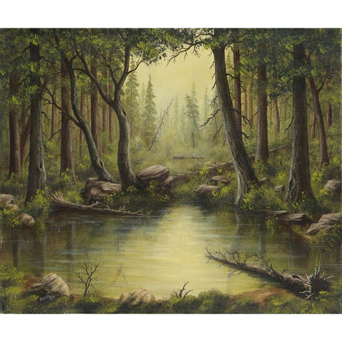 Evening at the Creek Black Modern Wood Framed Art Print by Wavra, Robert
