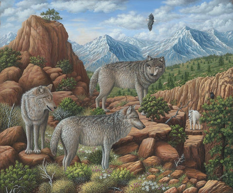 Scouting the Horizon - Grey Wolves White Modern Wood Framed Art Print with Double Matting by Wavra, Robert