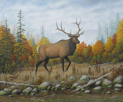 Autumn Elk White Modern Wood Framed Art Print with Double Matting by Wavra, Robert