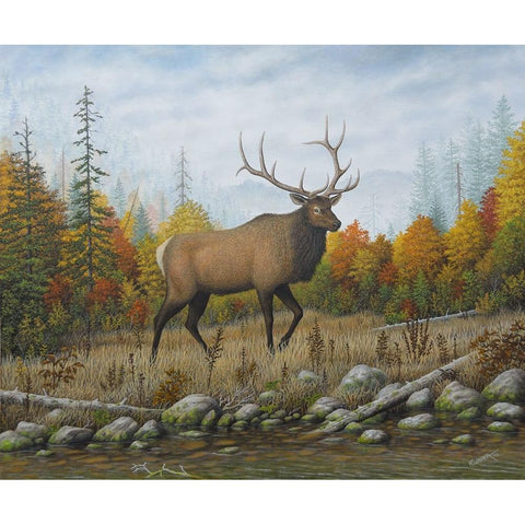 Autumn Elk Gold Ornate Wood Framed Art Print with Double Matting by Wavra, Robert