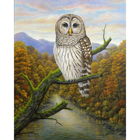 Barred Owl Gold Ornate Wood Framed Art Print with Double Matting by Wavra, Robert